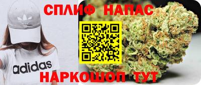 амф Гусь-Хрустальный