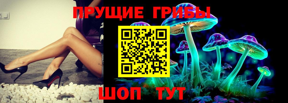 Галлюциногенные грибы мицелий  Галлюциногенные грибы Psilocybe  Нальчик  Вход с VPN 